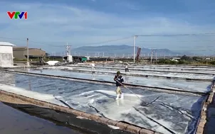 Đa dạng sản phẩm từ hạt muối