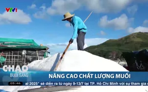 Nâng cao chất lượng muối