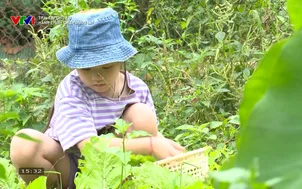 Trái tim cho em: Hành trình chưa dừng lại