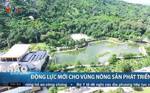 Động lực mới cho vùng nông sản phát triển