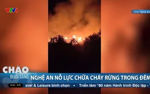 Nghệ An nỗ lực chữa cháy rừng trong đêm