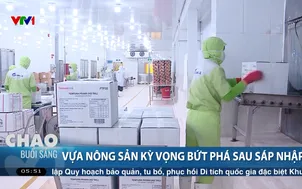 Vựa nông sản kỳ vọng bứt phá sau sáp nhập