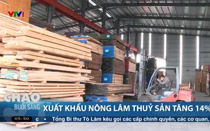 Xuất khẩu nông lâm thủy sản tăng 14%