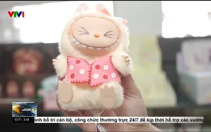 Rủi ro tiêu dùng cảm xúc