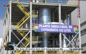 Giá Lithium giảm sâu bất chấp nhu cầu tăng cao