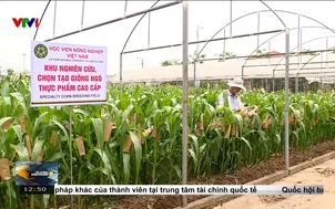 Gỡ nút thắt cơ chế trong nghiên cứu khoa học 