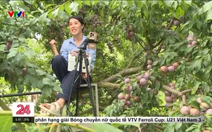 Nông dân livestream bán nông sản