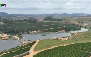 Nông dân Brazil thích ứng biến đổi khí hậu
