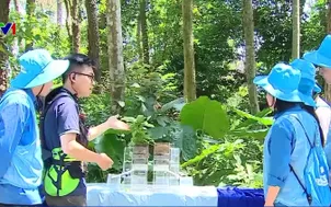 Hợp tác công tư trồng rừng, giữ nước 