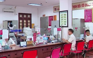 Vay không thế chấp tới 5 tỷ đồng cho nông nghiệp