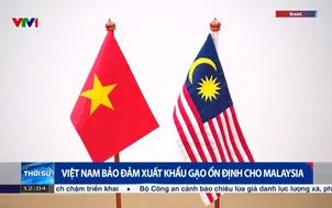 Việt Nam đảm bảo xuất khẩu gạo ổn định cho Malaysia