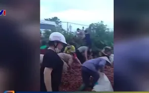 Xe tải lật, 4 tấn vải bị nhặt mất