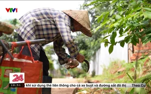 Chiếc xe rùa chở ve chai của bà