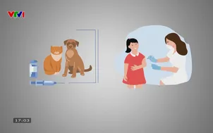 Trẻ tử vong nghi mắc bệnh dại do mèo cào