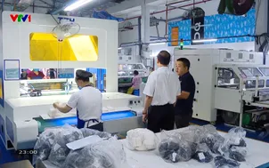 Thu nhập của lao động tăng hơn 10%