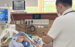 Nguy kịch do tự điều trị sau khi bị rắn cắn