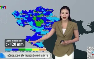 Bản tin thời tiết 19h45 - 11/7/2025