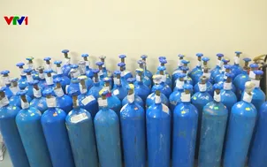 Triệt phá đường dây mua bán khí cười