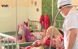 Cao điểm sốt xuất huyết