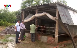 Từ mái ấm kiên cố đến sinh kế ổn định