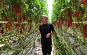 Nông dân Áo thích ứng với biến đổi khí hậu