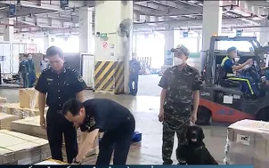 Hải quan siết chặt chống buôn lậu, hàng giả