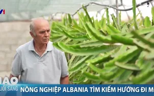 Nông nghiệp Albania tìm kiếm hướng đi mới