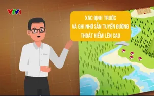 Ứng phó mưa lớn