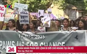 Ấn Độ: Tuần hành phản đối lệnh cấm di dời chó hoang