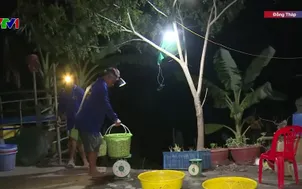 Nhộn nhịp mưu sinh mùa nước nổi