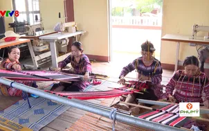 Nông nghiệp xanh: Xu hướng du lịch nông nghiệp nông thôn (18/09/2025)