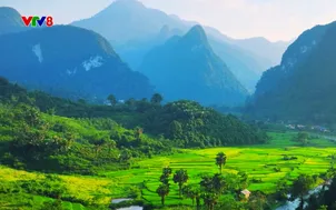 Quyến rũ Việt Nam: Khám phá Xuân Sơn (19/9/2025)