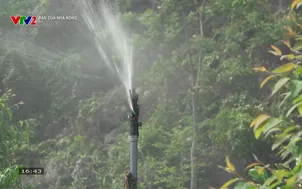 Bạn của nhà nông - 15/10/2025