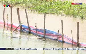 Nguy cơ tiếp tục vỡ đê