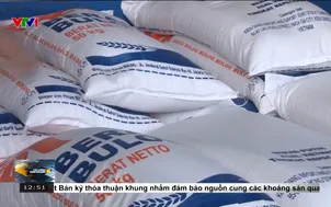 Việt Nam tiếp tục trong nhóm xuất khẩu gạo hàng đầu thế giới
