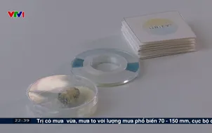 Phát hiện bệnh thận giai đoạn sớm