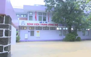 Điểm tựa của bệnh nhân giữa tâm lũ