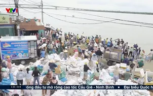 Bất an vì bờ kè An Lương bị sạt lở