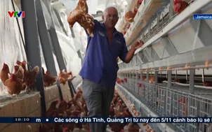 Cảnh báo thiếu lương thực sau bão Melissa