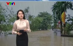 Bản tin thời tiết 11h30 - 04/11/2025