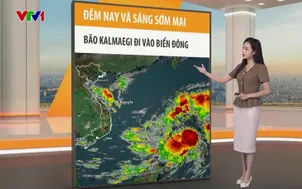 Bản tin thời tiết 12h30 - 04/11/2025