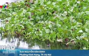 Lãng phí không gian xanh Hà Nội