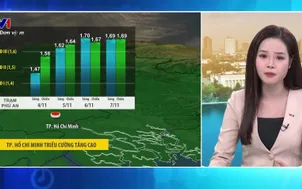 Bản tin thời tiết 5h30 - 04/11/2025