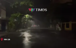 Đắk Lắk, Gia Lai chủ động cắt điện tại vùng nguy cơ mất an toàn do bão