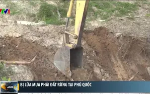 Bị lừa mua phải đất rừng tại Phú Quốc
