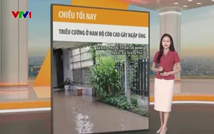 Bản tin thời tiết 12h30 - 08/11/2025