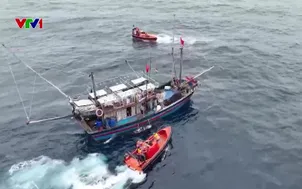 Ngư dân hiểu luật vững vàng vươn khơi