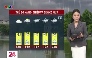 Bản tin thời tiết 11h30 - 08/11/2025