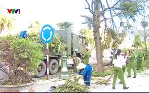 Dọn dẹp vệ sinh môi trường sau bão