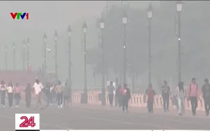 Ấn Độ: Người cao tuổi khổ sở trong không khí ô nhiễm